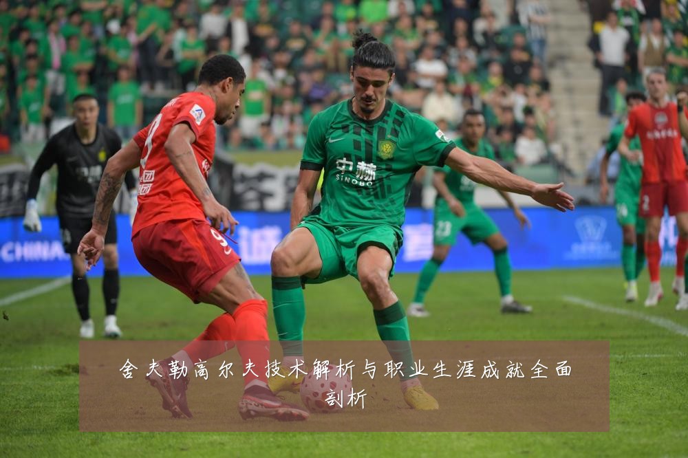 舍夫勒高尔夫技术解析与职业生涯成就全面剖析