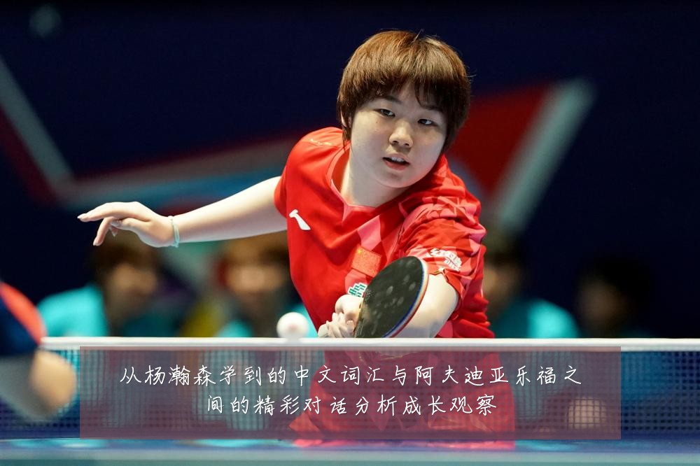 从杨瀚森学到的中文词汇与阿夫迪亚乐福之间的精彩对话分析成长观察