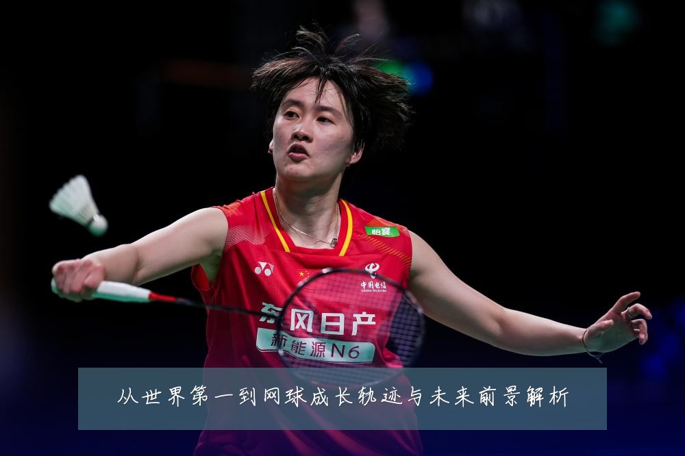 从世界第一到网球成长轨迹与未来前景解析